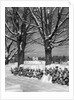 1940s pile of snow-covered firewood logs stacked between two trees with country church in background by Anonymous
