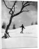 1920s 1930s silhouette of woman cross country skier near old tree by Anonymous