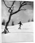 1920s 1930s silhouette of woman cross country skier near old tree by Anonymous
