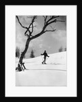 1920s 1930s silhouette of woman cross country skier near old tree by Anonymous