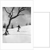1920s 1930s silhouette of woman cross country skier near old tree by Anonymous