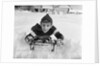 1950s boy on sled in snow looking at camera by Anonymous