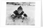 1950s boy on sled in snow looking at camera by Anonymous
