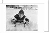 1950s boy on sled in snow looking at camera by Anonymous