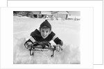 1950s boy on sled in snow looking at camera by Anonymous