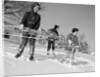 1960s three boys holding sleds looking downhill by Anonymous