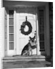 1930s german shepherd dog sitting front door stoop porch holding christmas package in his mouth by Anonymous