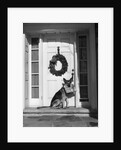 1930s german shepherd dog sitting front door stoop porch holding christmas package in his mouth by Anonymous