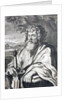 Saint Paul. An engraving by Gaspar Hubern of an original by Peter Paul Rubens