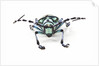 Horned Beetle Male Anoplophora zonatrix macro views by Anonymous