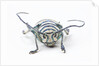 Sternotomis bohemani bohndorffi long horned beetle head on view by Anonymous