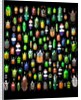 Beetle lay out on black back ground in multi colors and shapes by Anonymous