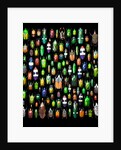 Beetle lay out on black back ground in multi colors and shapes by Anonymous