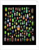 Beetle lay out on black back ground in multi colors and shapes by Anonymous