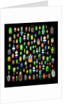 Beetle lay out on black back ground in multi colors and shapes by Anonymous