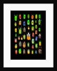 Beetle lay out on black back ground in multi colors and shapes by Anonymous