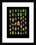 Beetle lay out on black back ground in multi colors and shapes by Anonymous
