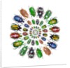 Flower Beetles in circular pattern design by Anonymous