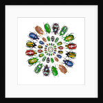 Flower Beetles in circular pattern design by Anonymous