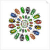 Flower Beetles in circular pattern design by Anonymous
