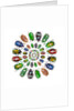 Flower Beetles in circular pattern design by Anonymous