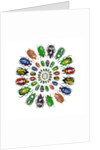 Flower Beetles in circular pattern design by Anonymous