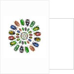 Flower Beetles in circular pattern design by Anonymous