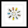 Long Horned Beetle in Circular pattern by Anonymous