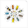 Long Horned Beetle in Circular pattern by Anonymous