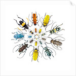 Long Horned Beetle in Circular pattern by Anonymous