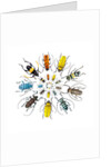 Long Horned Beetle in Circular pattern by Anonymous