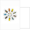 Long Horned Beetle in Circular pattern by Anonymous