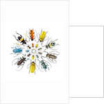 Long Horned Beetle in Circular pattern by Anonymous
