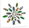 Cicular design pattern of Jewel Beetles by Anonymous