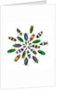 Cicular design pattern of Jewel Beetles by Anonymous