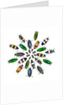 Cicular design pattern of Jewel Beetles by Anonymous