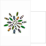 Cicular design pattern of Jewel Beetles by Anonymous