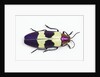 Jewel Beetle from Thailand Chrysochroa buqueti buqueti by Anonymous