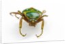 Head on view of flower beetle Stephanorrhina guttata by Anonymous