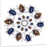 Beetle Circular design with small round beetles in the Chrysomelidae family by Anonymous