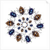 Beetle Circular design with small round beetles in the Chrysomelidae family by Anonymous
