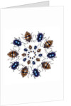 Beetle Circular design with small round beetles in the Chrysomelidae family by Anonymous