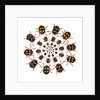 Beetle Circular design with small round beetles in the Chrysomelidae family by Anonymous