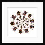 Beetle Circular design with small round beetles in the Chrysomelidae family by Anonymous
