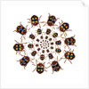Beetle Circular design with small round beetles in the Chrysomelidae family by Anonymous