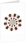Beetle Circular design with small round beetles in the Chrysomelidae family by Anonymous