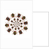 Beetle Circular design with small round beetles in the Chrysomelidae family by Anonymous