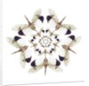 Circular design of Pyrops horsfieldii winged insect in white and blacks by Anonymous
