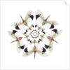 Circular design of Pyrops horsfieldii winged insect in white and blacks by Anonymous