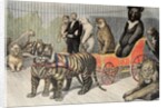 Jardin d'Acclimatation Paris Zoo (1895) by Anonymous